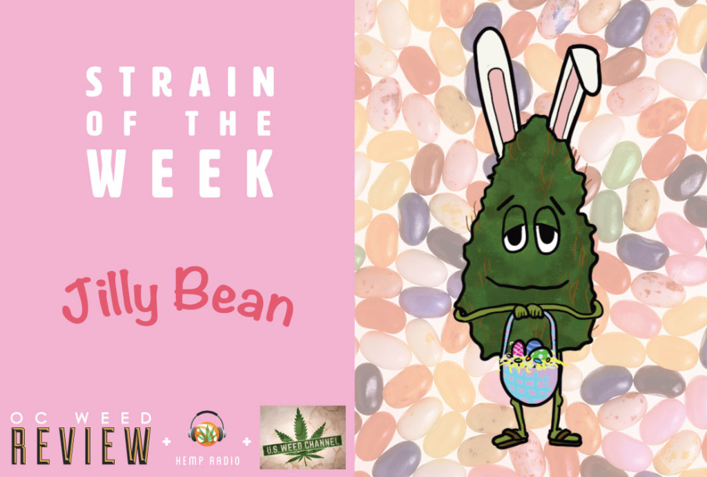 Strain Of The Week April Jilly Bean Oc Weed Review