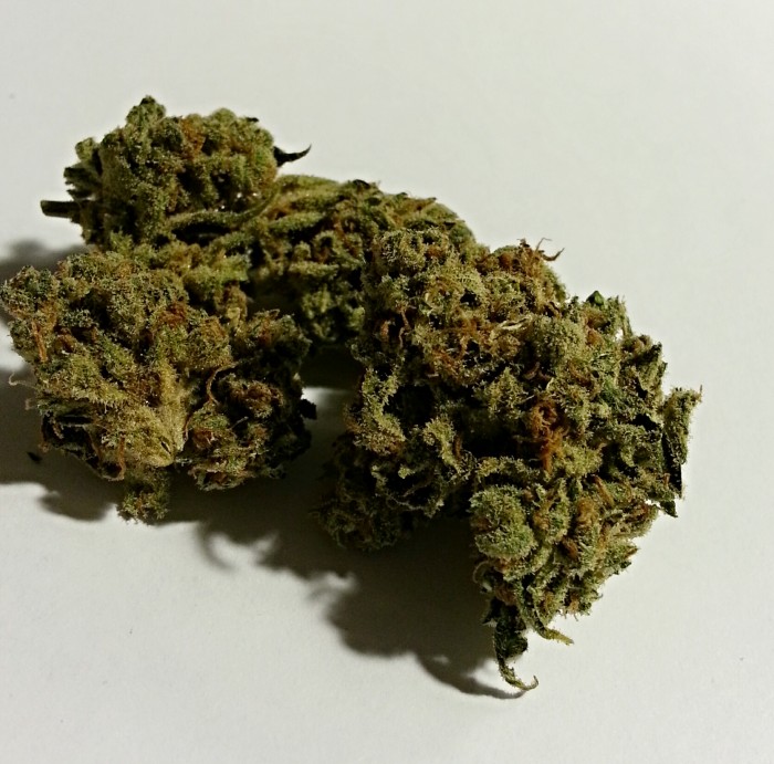 Super J1 from OCPC Medical Marijuana Review | OC Weed Review